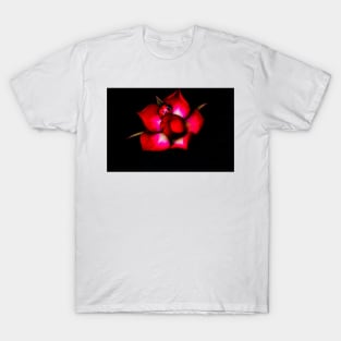 Ladybird on a Red Rose T-Shirt